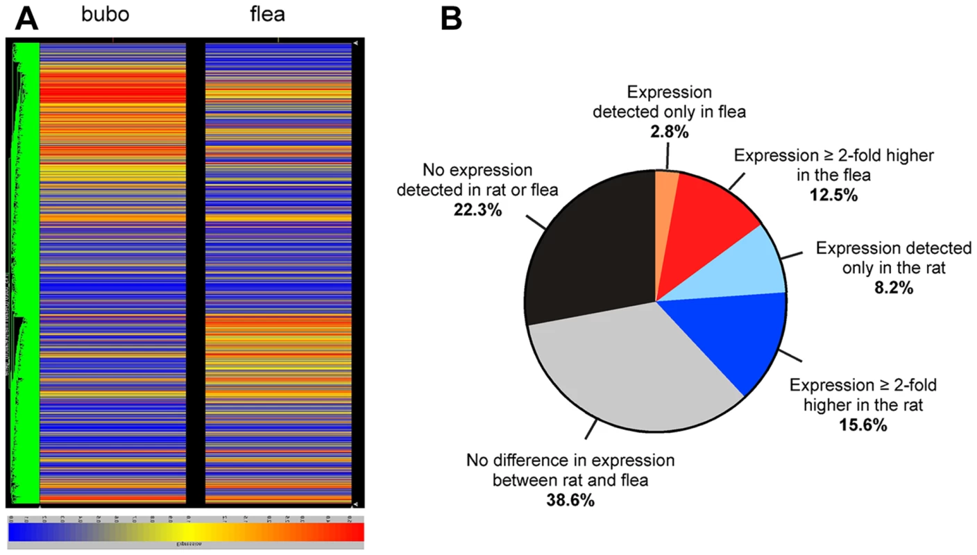 Distinct <i>Y. pestis</i> gene expression profiles in flea and rat hosts.