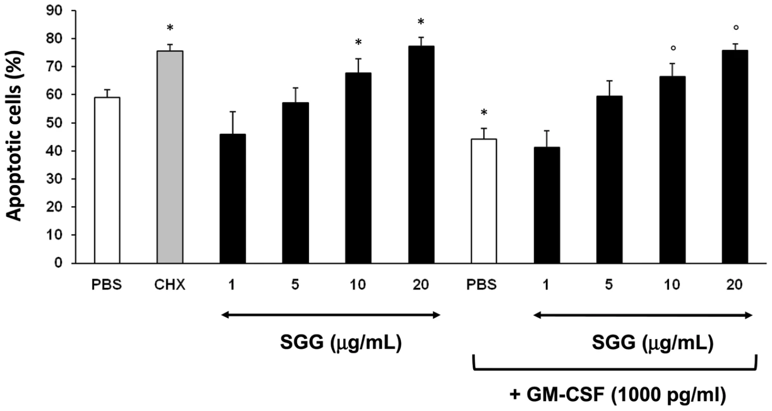 SGG induces neutrophil apoptosis.