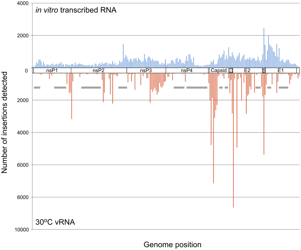 Frequency of insertion sites found in unselected RNA versus vRNA from virus produced at 30°C.