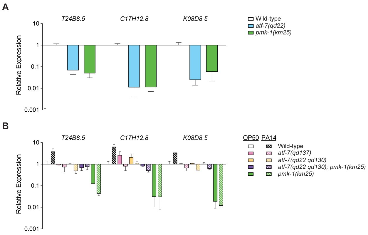ATF-7 regulation of PMK-1–regulated genes.