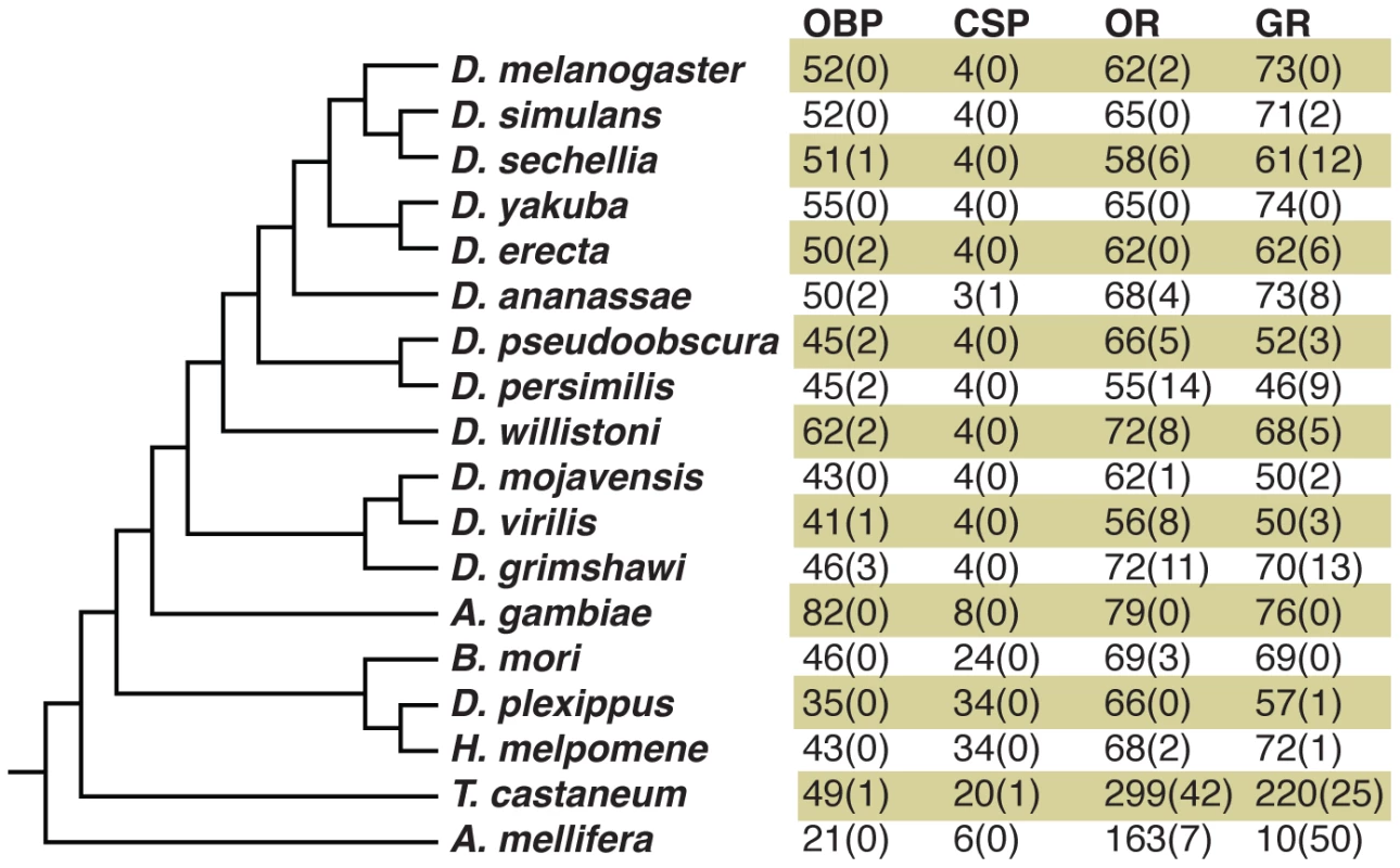 Insect chemosensory gene family repertoires.