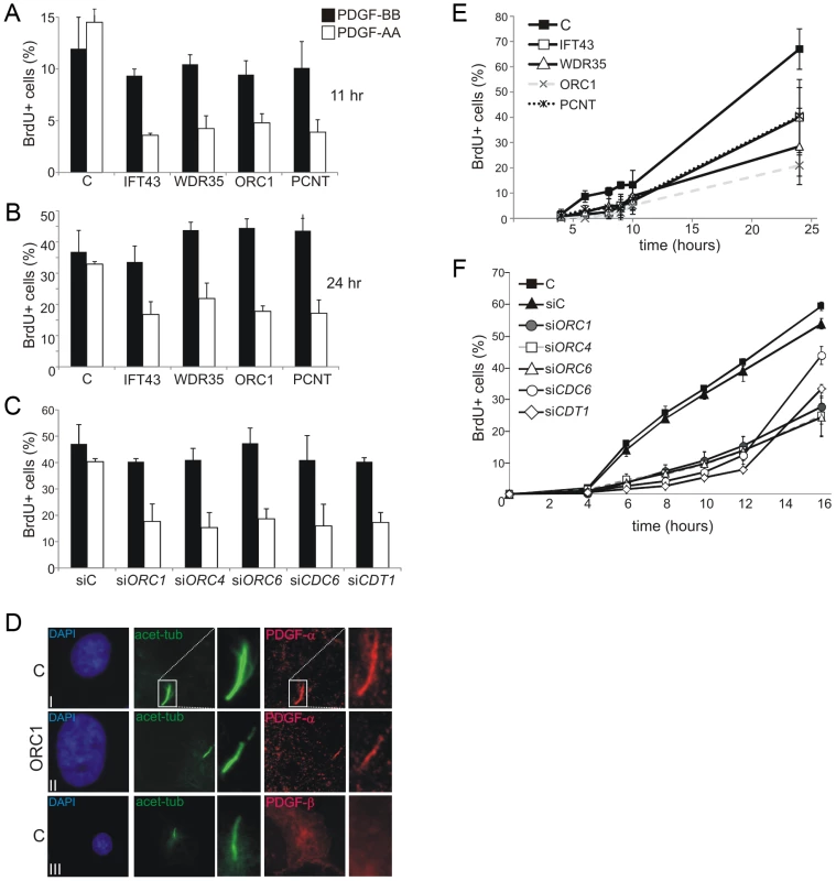 Deficiency in origin licensing proteins impairs cilia function in response to platelet-derived growth factor (PDGF).