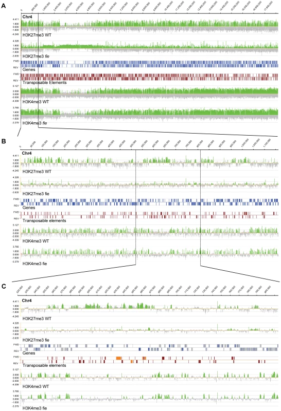 Genome-wide distribution of H3K27me3 and H3K4me3 marks.