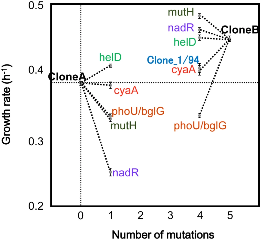 The effects of the five non-synonymous mutations in the first cluster on the growth rate.