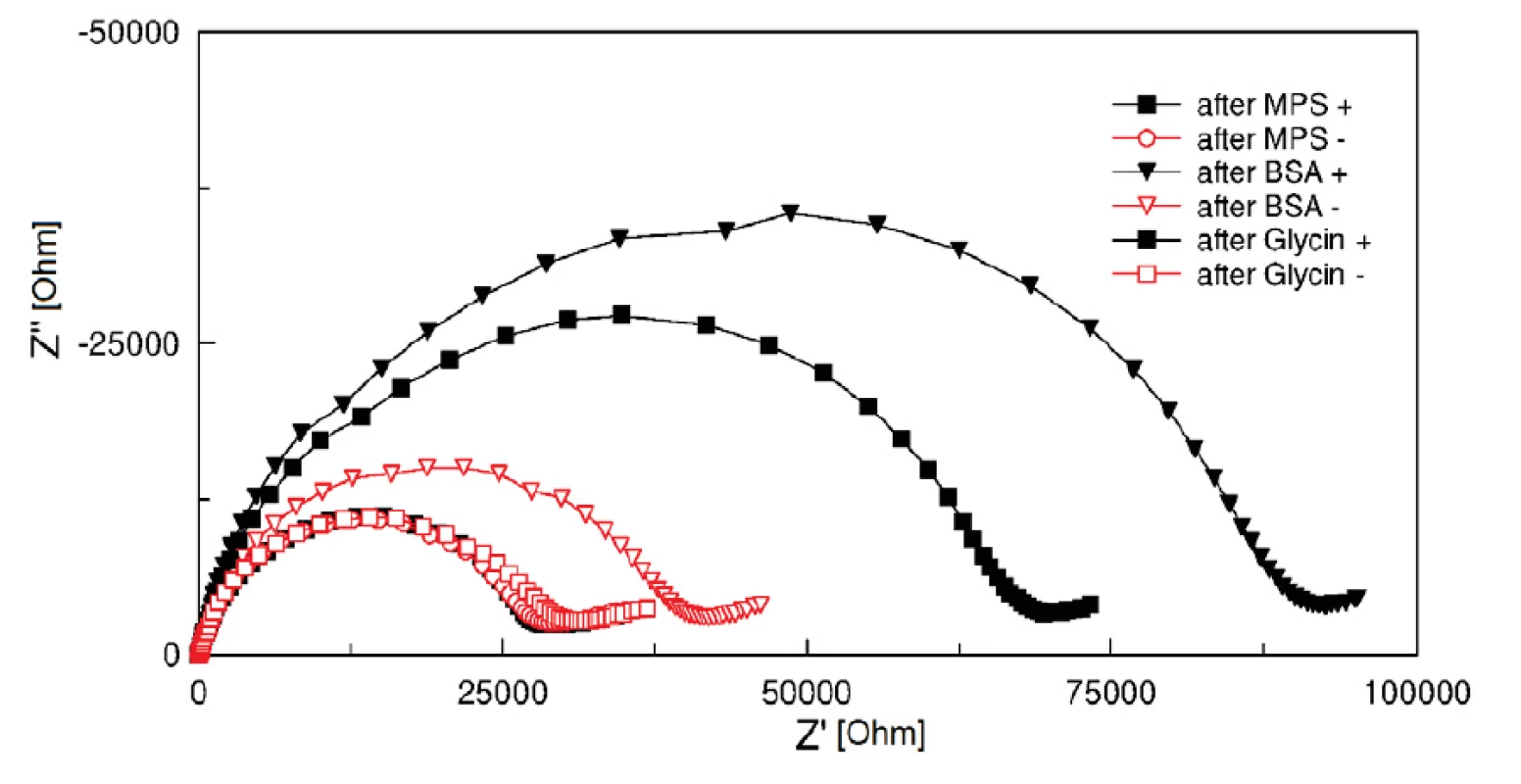 Cole-Cole plots (100 kHz and 1 Hz) of electrodes with EDC/NHS covalent coupling (+, filled points) and without EDC/NHS covalent coupling of BSA protein (-, hollow points).