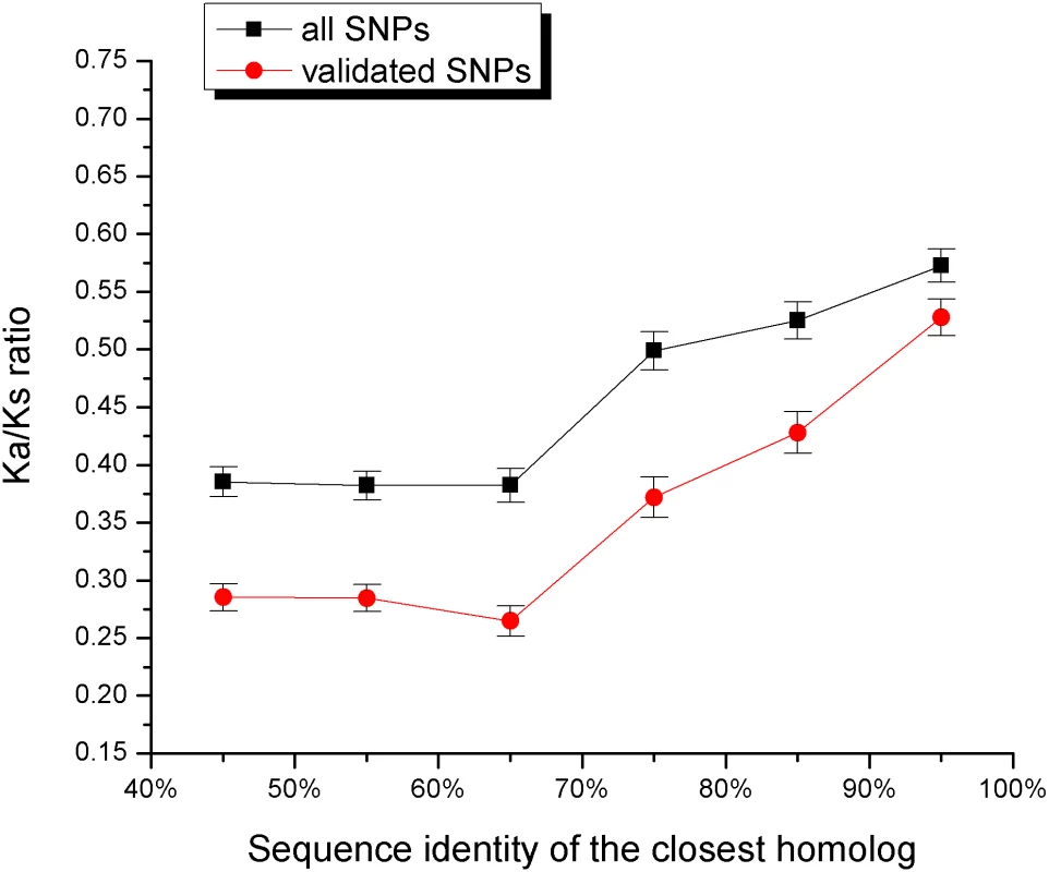 The relationship between the sequence identity of the closest homolog and the ratio of non-synonymous to synonymous human SNPs per site (Ka/Ks).