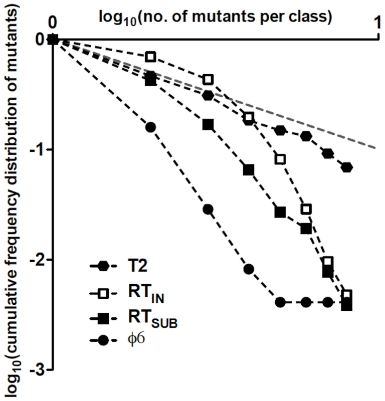 Double-logarithmic plots of the relative cumulative frequency distributions of mutants for T2, φ6, RT<sub>IN</sub>, and RT<sub>SUB</sub>.