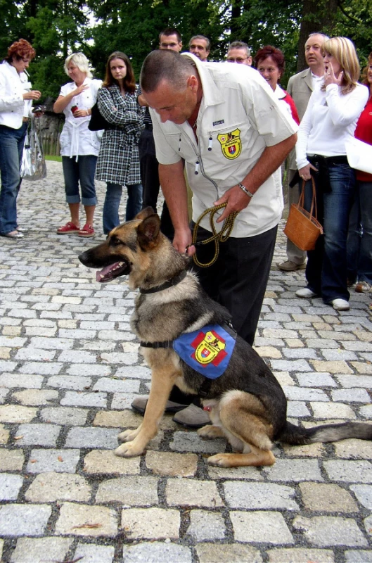 Se cvičenými psy přijela na sympozium Speciální kynologická záchranná služba Slovakia z Bratislavy
Foto: Petr Nováček