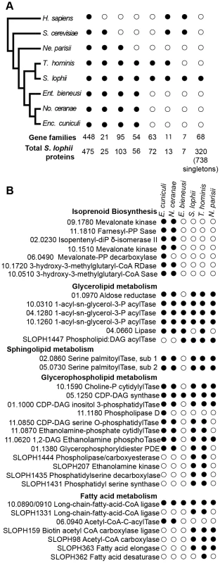 Comparison of the gene content of <i>S. lophii</i> to published microsporidian genomes.