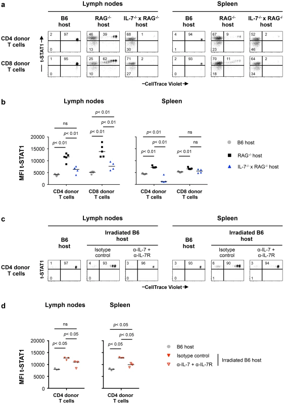 Lymphopenia-induced t-STAT1 upregulation in T cells is partially dependent on IL-7.