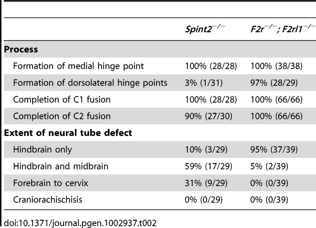Comparison of morphologic features of neural tube defects observed in &lt;i&gt;Spint2&lt;sup&gt;−/&lt;/sup&gt;&lt;/i&gt;&lt;sup&gt;−&lt;/sup&gt; and &lt;i&gt;F2r&lt;sup&gt;−/−&lt;/sup&gt;; F2rl1&lt;sup&gt;−/−&lt;/sup&gt;&lt;/i&gt; mice.