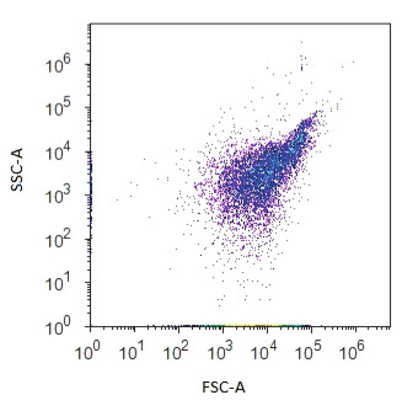 Dvouparametrový dot plot zobrazující bakteriální populaci na základě přímého (FSC) a bočního (SSC) rozptylu světla
Figure 1. Two-parameter dot plot representing the bacterial population based on forward scatter (FSC) and side scatter (SSC)