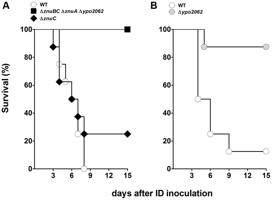 Incidence of plague in mice infected with <i>Y. pestis</i> lacking the zinc transporter Znu and/or the putative zinc murein DD-endopeptidase YebA (YPO2062).