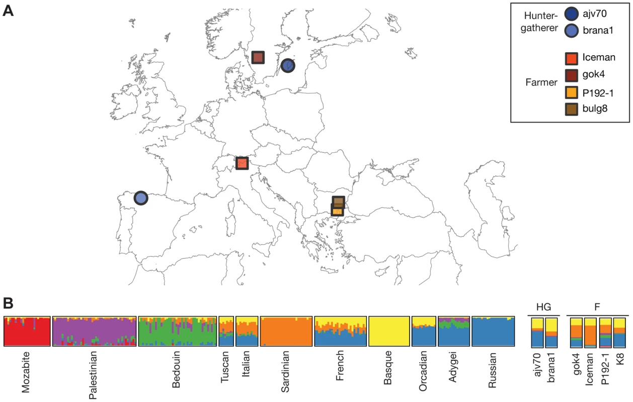 Geographic origin of ancient samples and ADMIXTURE results.