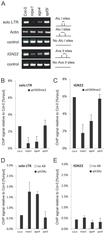 Locus-specific effects of SPT5L on silencing.