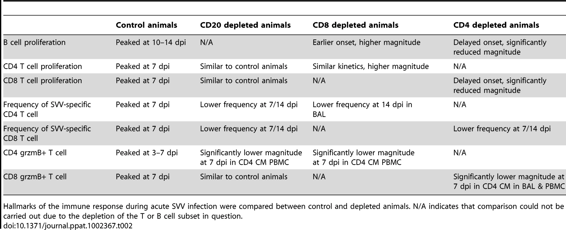 Summary of effect of immune cell depletions on the anti-SVV response.