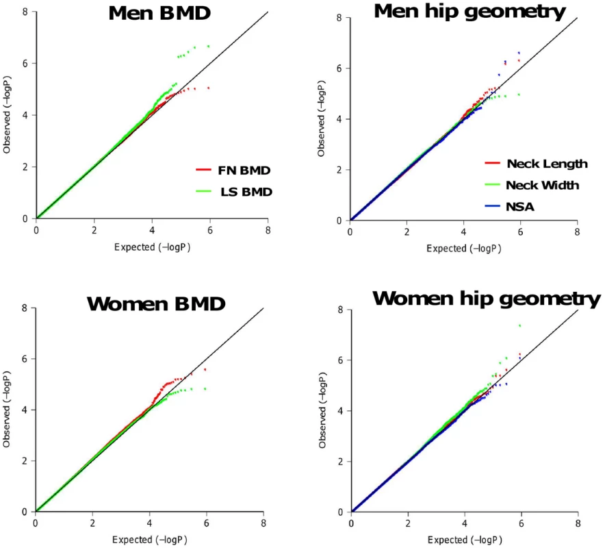 Quantile-Quantile plots for BMD and HSA in additive genetic models.