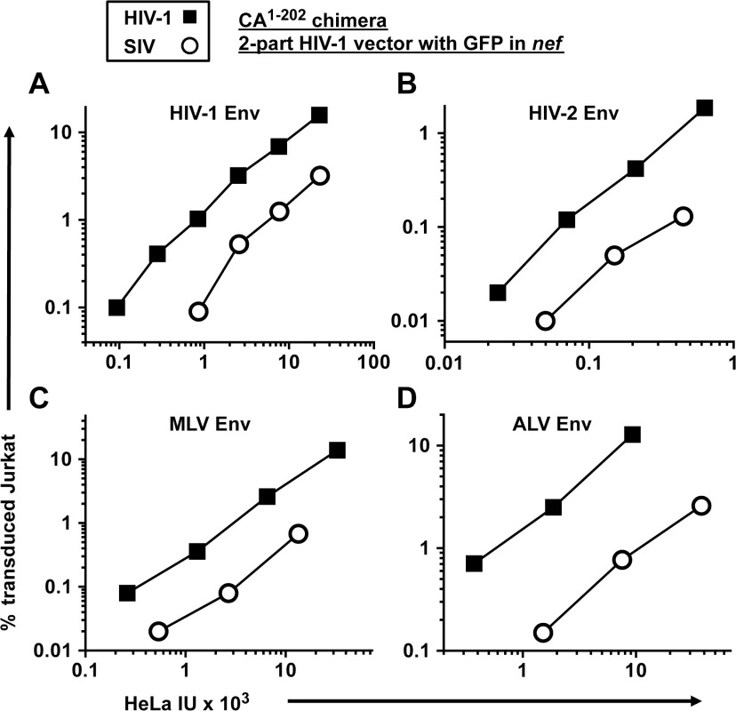 The transduction defect associated with SIV<sub>MAC</sub> CA is independent of the virus entry pathway.