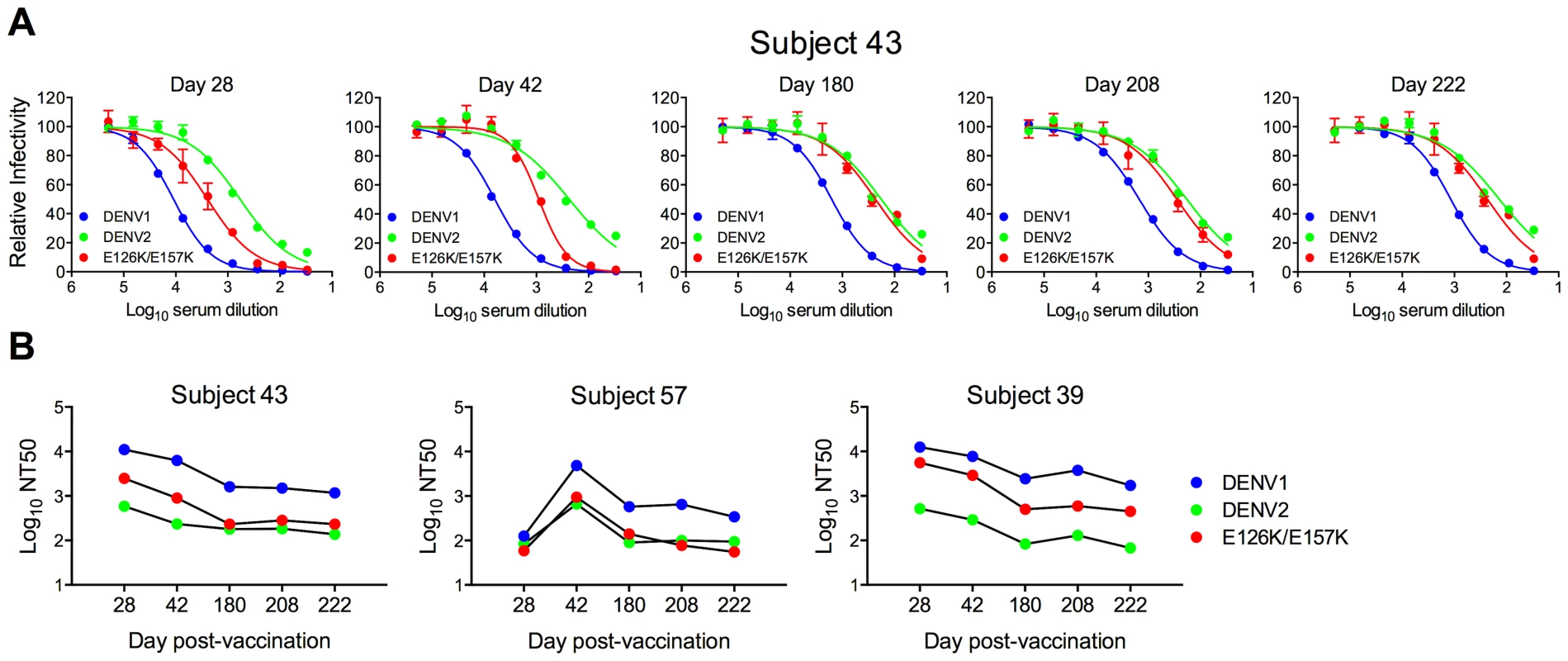 Longitudinal analysis of the effects of DENV1 E126K/E157K mutations on serum neutralizing activity.