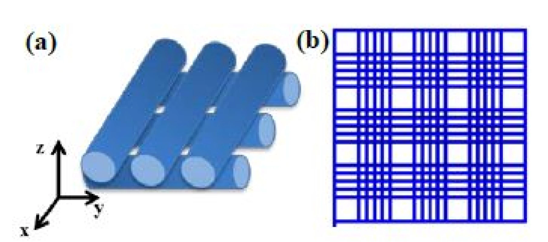 1: (a) Schematic structure of the pile wood type deposition of filaments in each individual scaffold; (b) CAD model of the general scaffolds assembling.