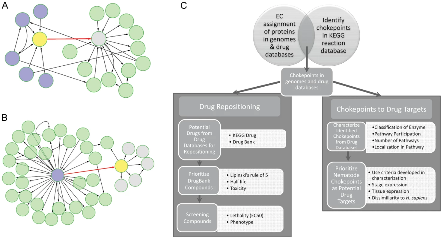 Workflow for identification, characterization, and prioritization of chokepoint drug targets and drug-like compounds.