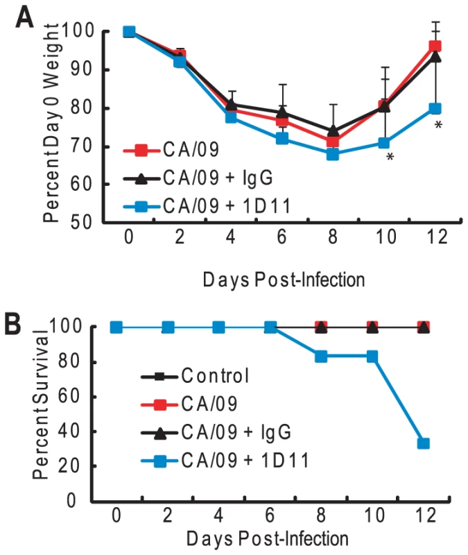 Depletion of TGF-β alters morbidity in HK/486-infected mice.