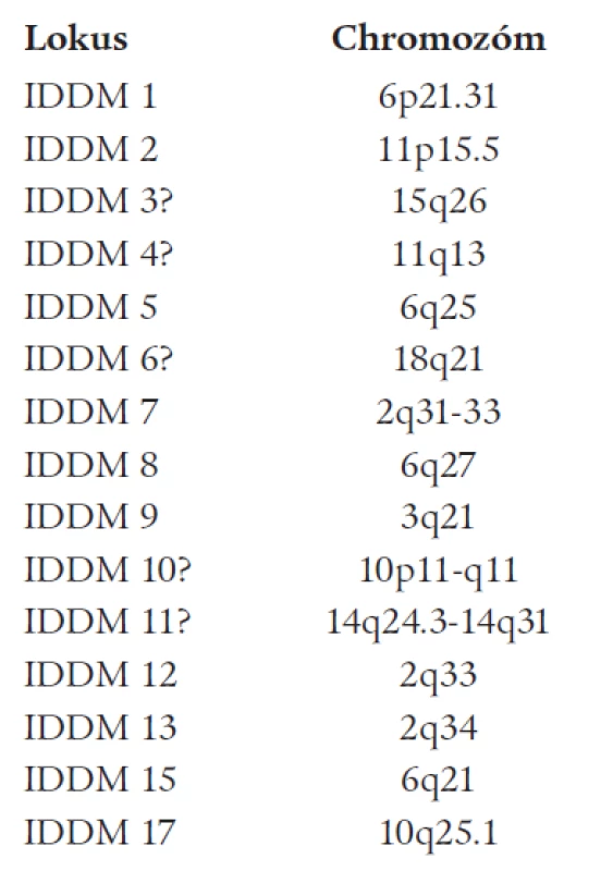 DM 1A-predispozičné gény [3].