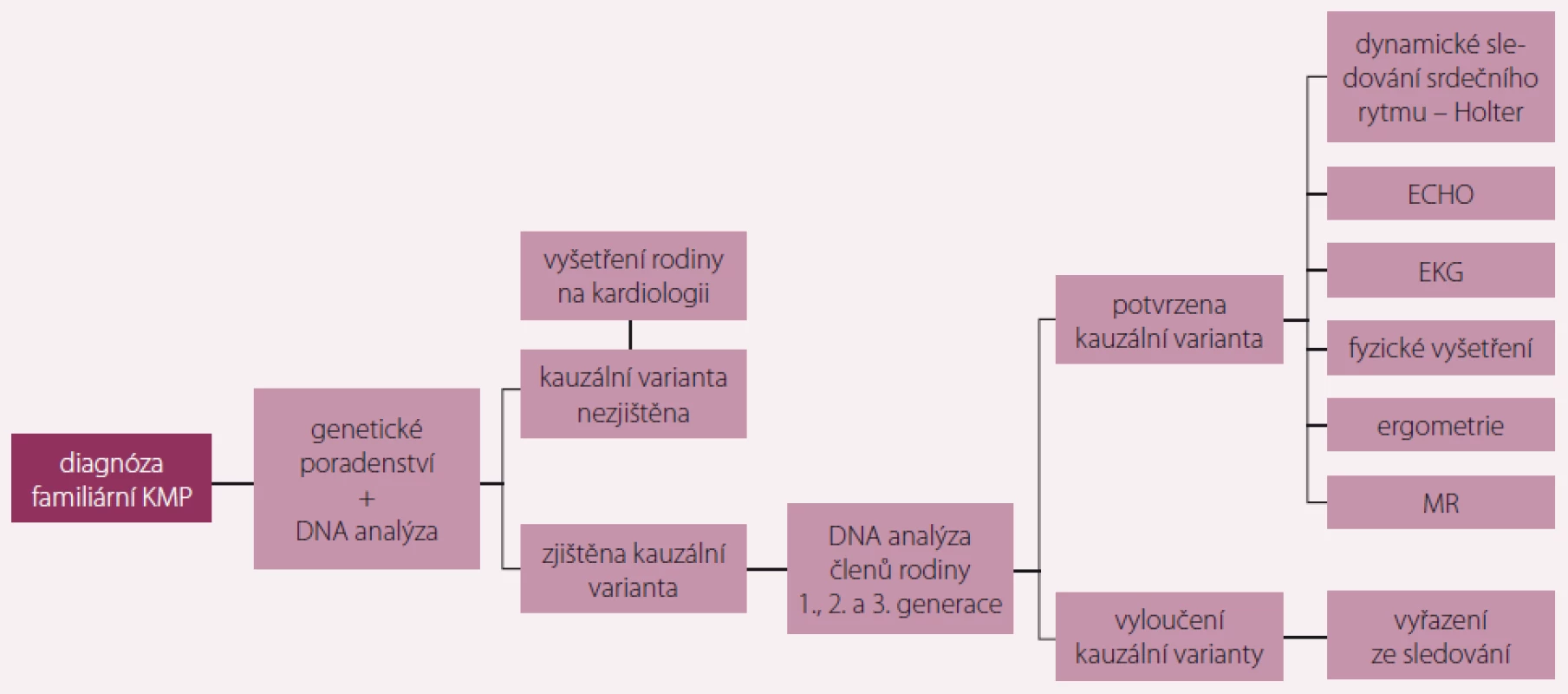 Doporučený algoritmus vyšetřování příbuzných pacienta s dědičným typem kardiomyopatie (KMP).