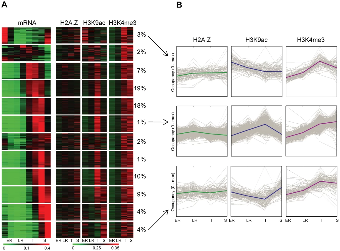 H3K9 acetylation dynamically associates with transcriptional activity during intraerythrocytic development.