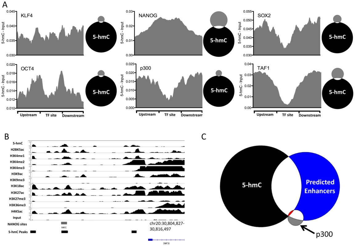 5-hmC at pluripotency-associated core transcription factor binding sites in human H1 ES cells.