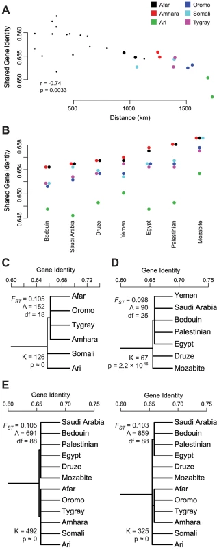 Tests of gene flow and population structure in the non-African ancestry of HOA populations.