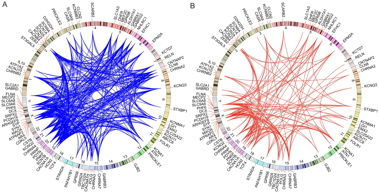 Network analysis of genes associated with epilepsy.