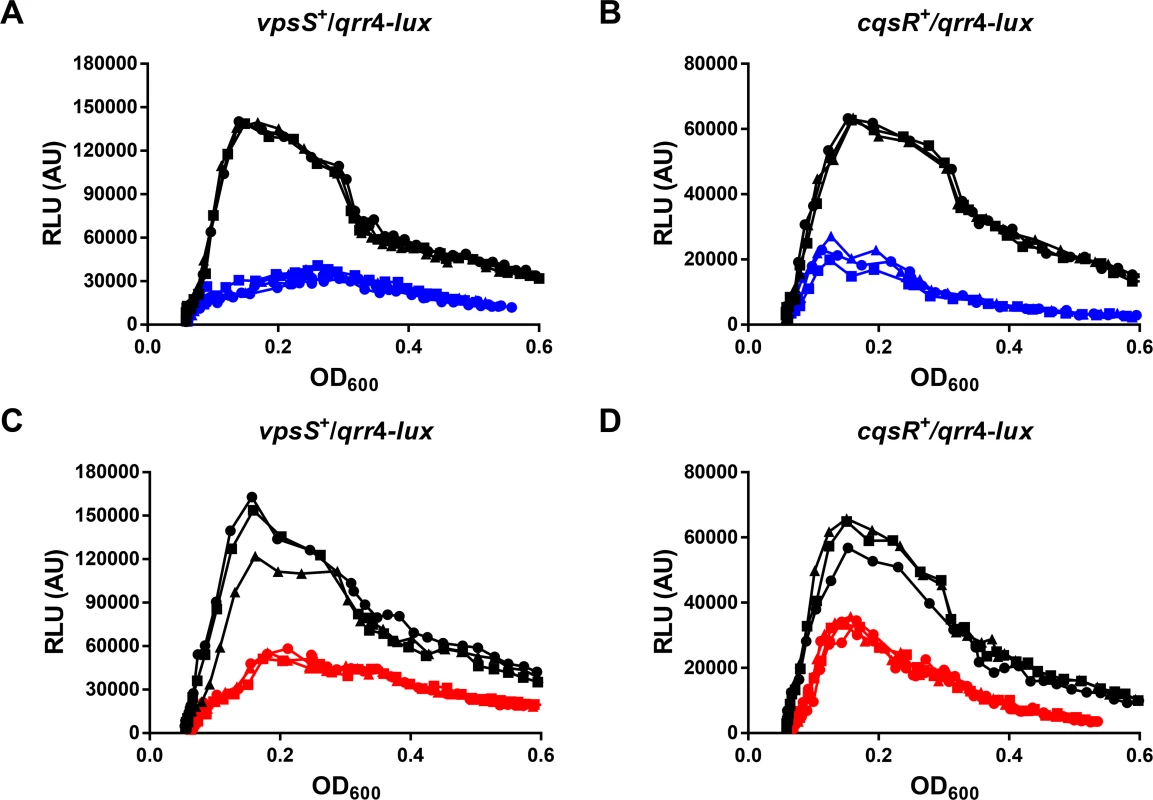 VpsS and CqsR activities are modulated by molecules secreted by <i>V</i>. <i>cholerae</i>.