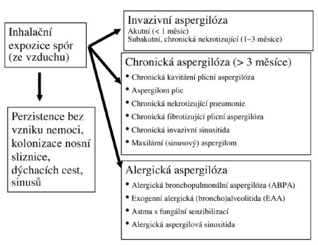 Klasifikace aspergilóz (upraveno podle Soubani et al. [14]) znamné důsledky