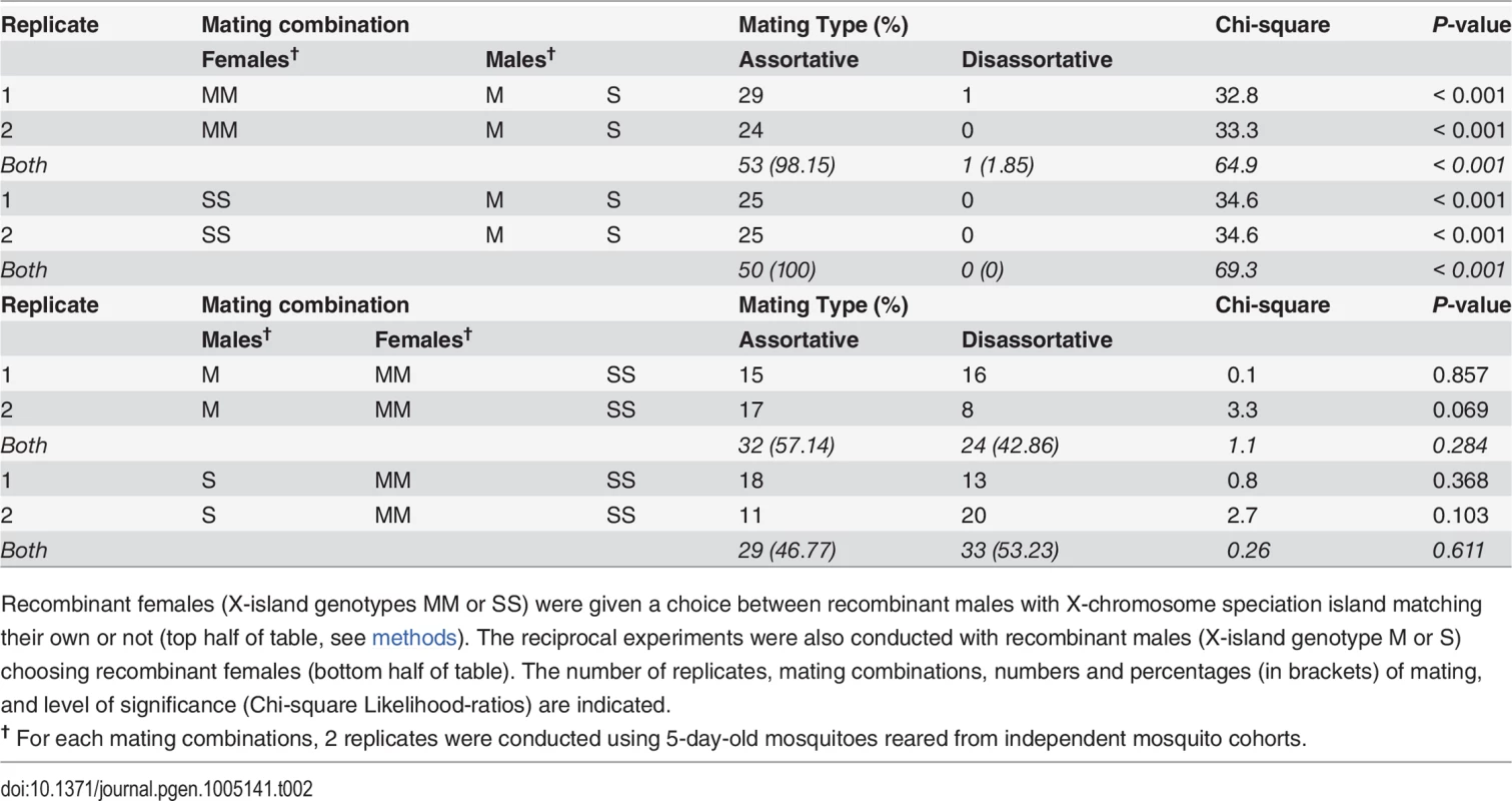 Number of females and males mating assortatively in reciprocal behavioural assays among the RbMM and RbSS recombinants strains.