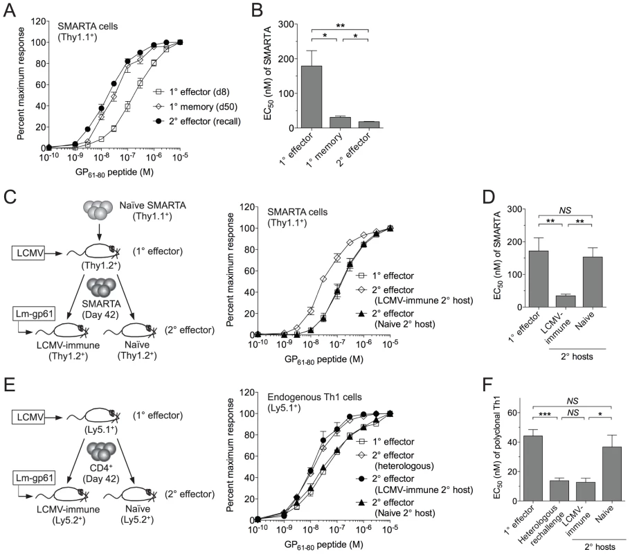SMARTA memory cells lose functional avidity following heterologous rechallenge in naïve but not immune hosts.