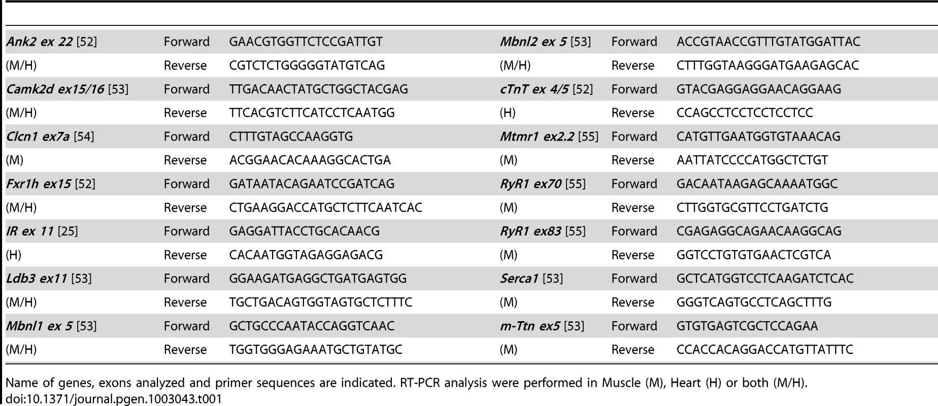 List of primers used for RT–PCR splicing analysis.