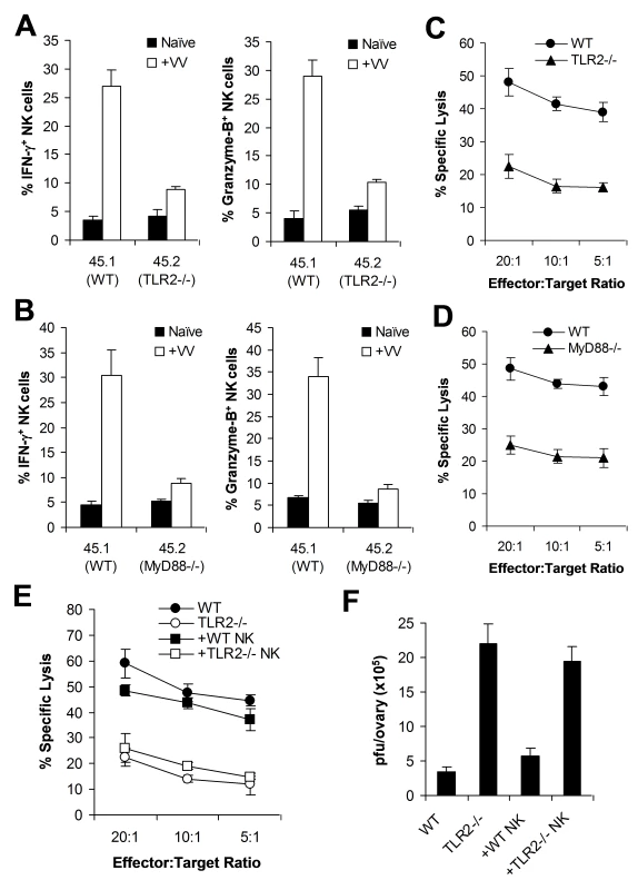 Direct TLR2-MyD88 signaling is required for NK cell priming in response to VV in vivo.