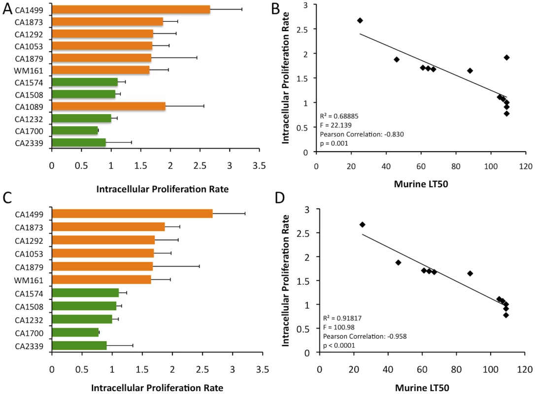 In vitro analysis of intracellular proliferation rates (IPR) show increased proliferation levels in VGIIIa and IPR values correlate with in vivo virulence.