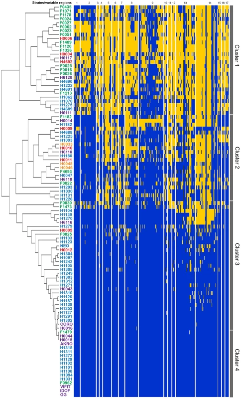Analysis of genome diversity in <i>L. rhamnosus</i> by mapped SOLiD sequencing.