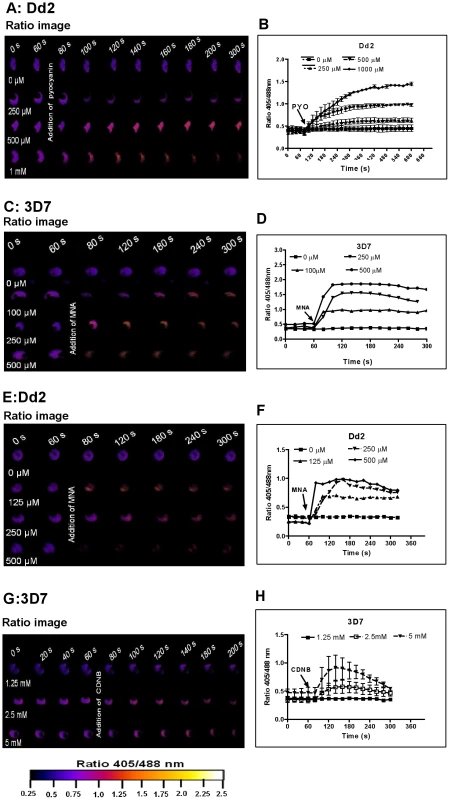 hGrx1-roGFP2 visualizes cytosolic depletion of glutathione induced by pyocyanin, menadione, and CDNB.