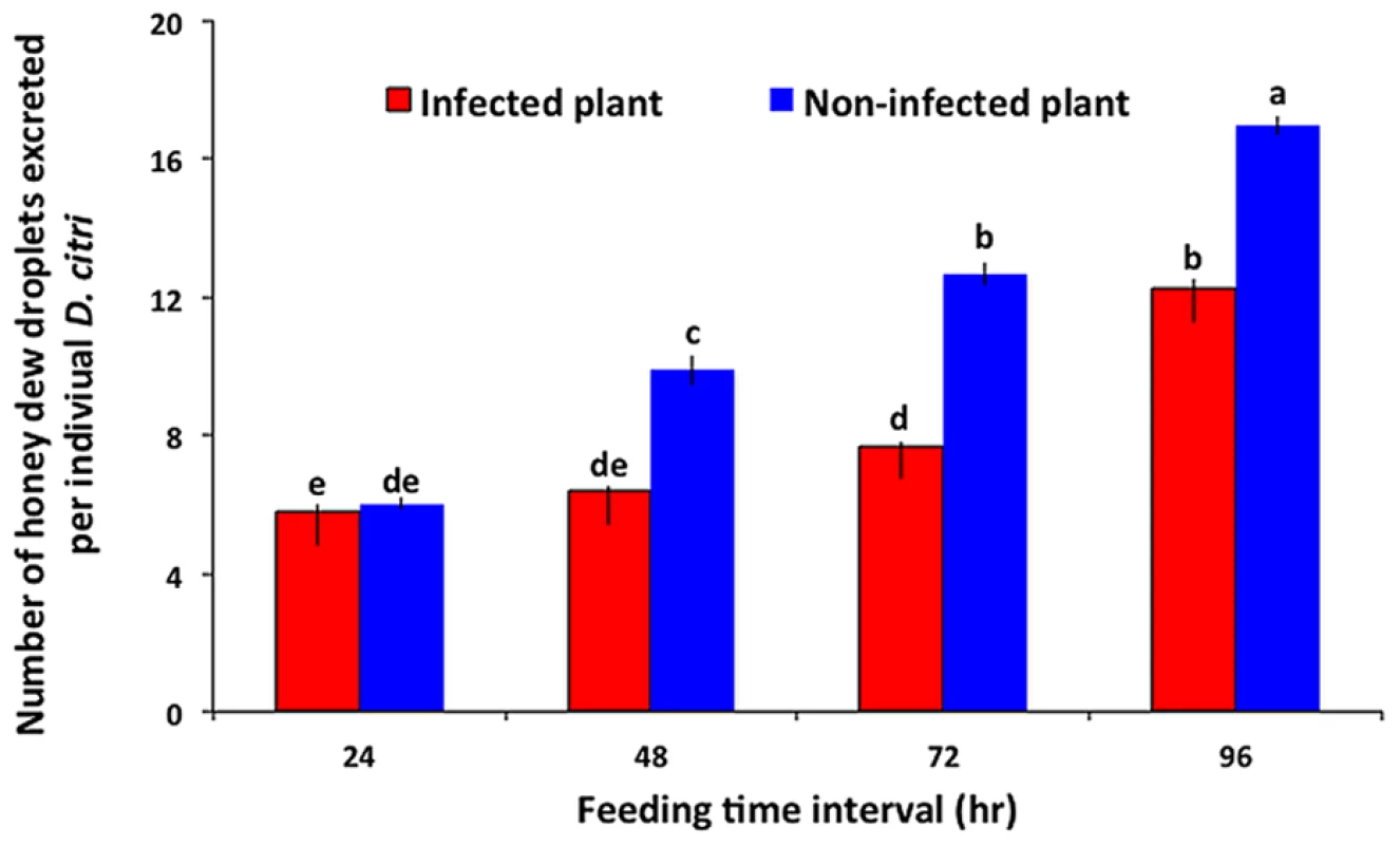 Feeding efficiency of <i>D. citri</i> on Las-infected versus non-infected citrus leaves as measured by honeydew excretion.