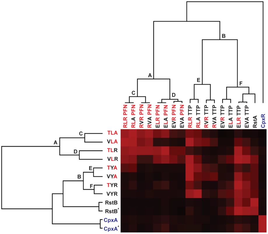 Hierarchical clustering of trajectory-scanning mutagenesis of EnvZ and OmpR.