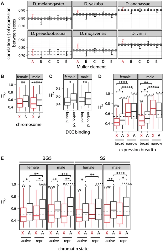 Intraspecific expression variation, X-linkage, DCC binding, expression breadth, and chromatin state.