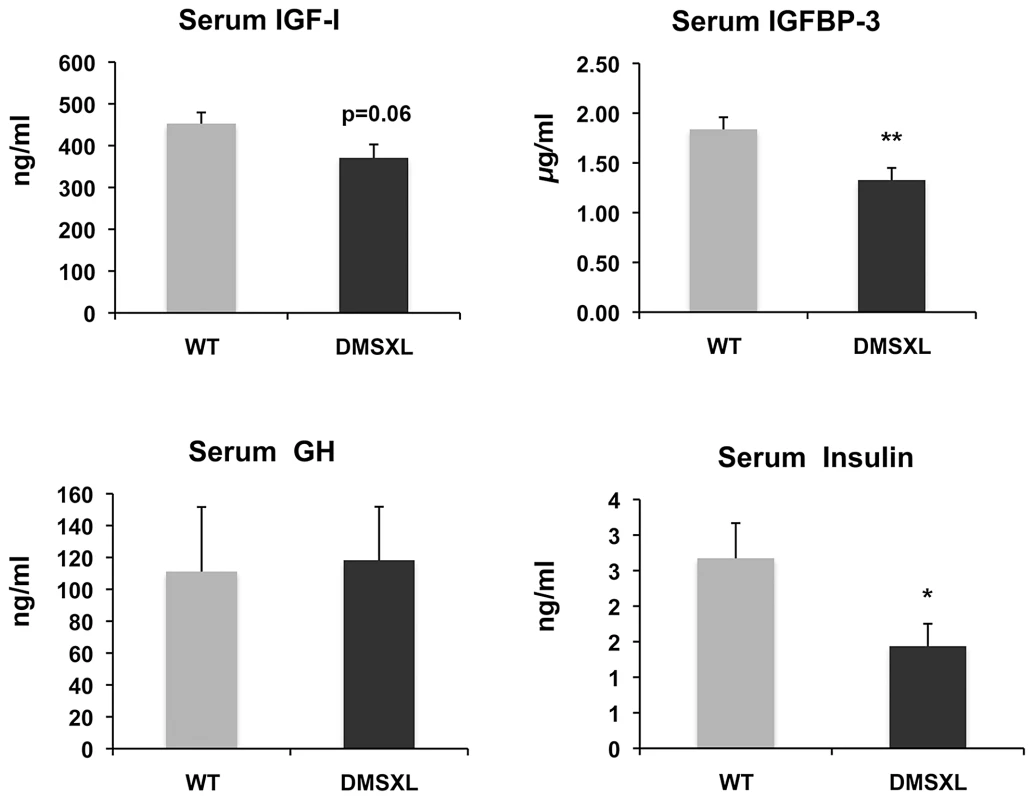 Circulating levels of growth-related signaling proteins after fasting.
