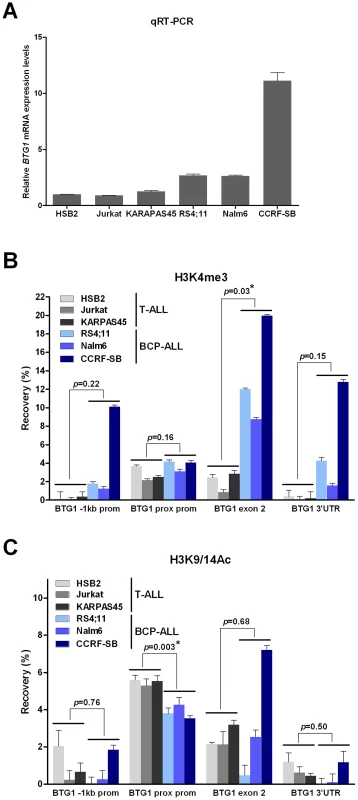 Increased levels of H3K4me3 at the <i>BTG1</i> locus in BCP-ALL versus T-ALL cell lines.