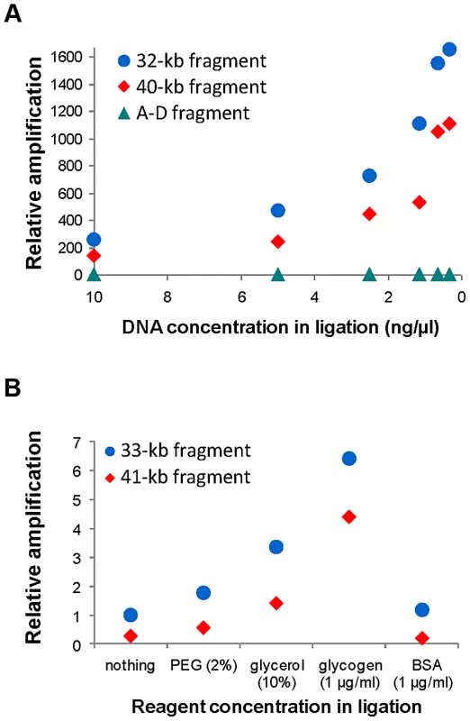 Quantification of self-ligation efficiency in iPCR with different DNA dilutions and different reagents.