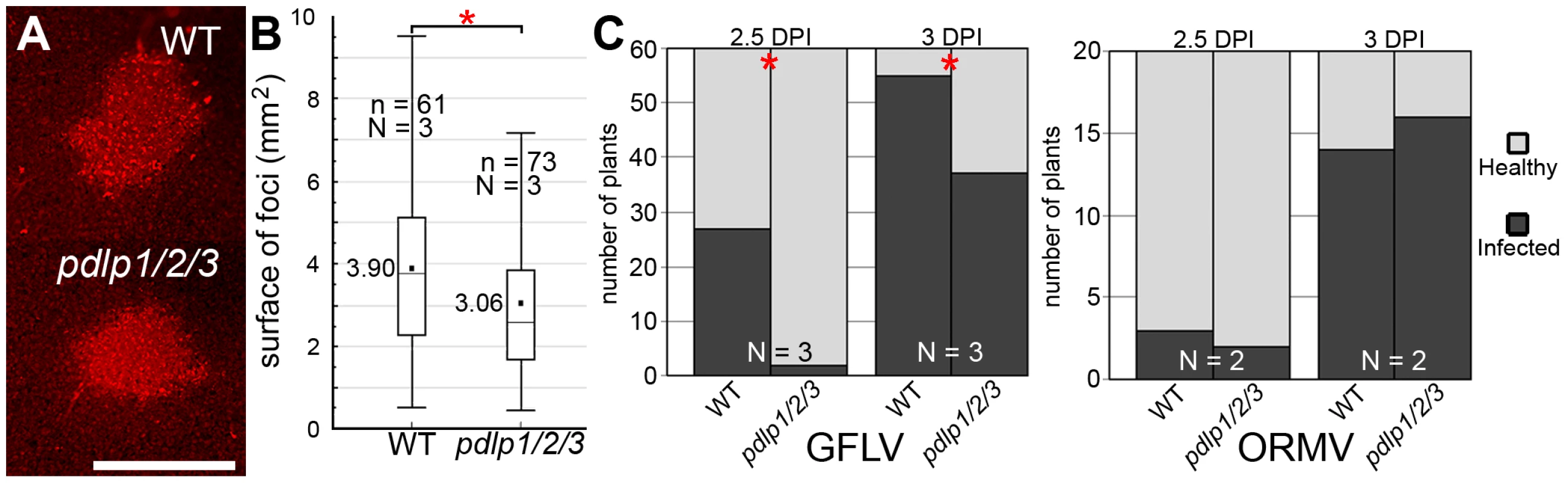 GFLV cell-to-cell and long distance movement is altered in <i>pdlp1/2/3</i> mutants.