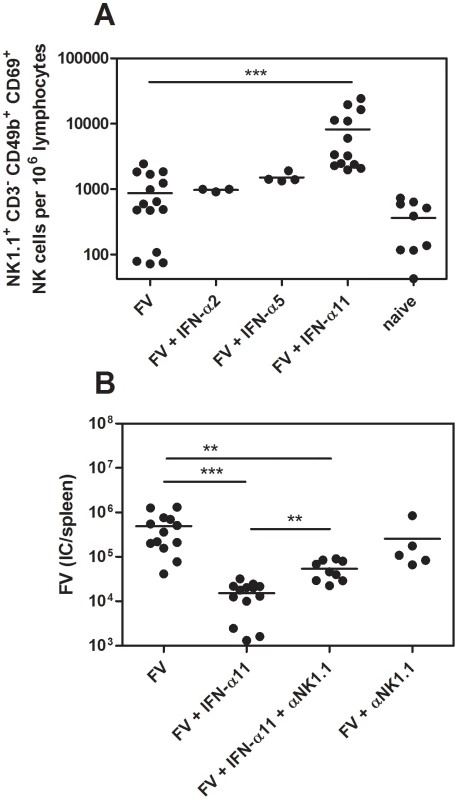 Analysis of NK cells from IFN-α11-treated mice.