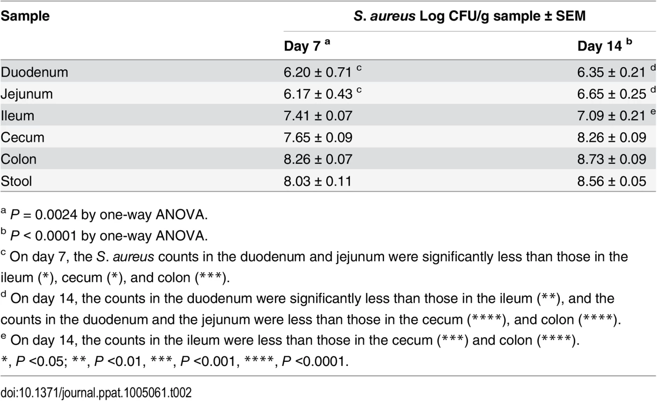 Quantitative cultures of GI segments from germ-free mice inoculated with <i>S</i>. <i>aureus</i> and evaluated on days 7 or 14.